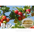 Acerola Cherry Extract; Vitamin C17%, 25%